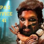 Pushpa 2 Box Office Collection Day 41