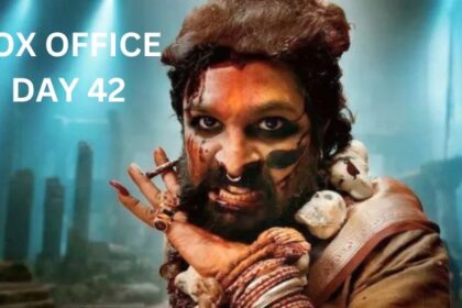 Pushpa 2 Box Office Collection Day 42