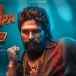 Pushpa 2 OTT Update