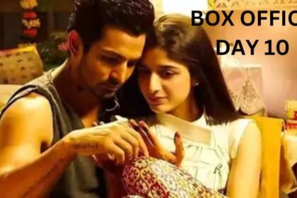 Sanam Teri Kasam Re-release Box Office Collection Day 10