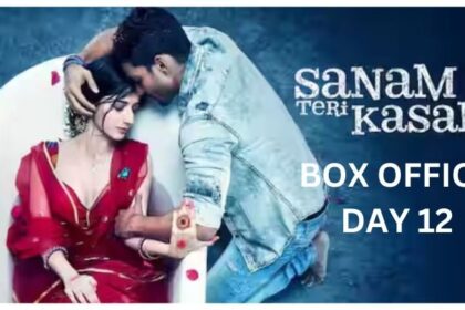 Sanam Teri Kasam Re-release Box Office Collection Day 12