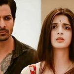 Sanam Teri Kasam Re-release Box Office Collection Day 14