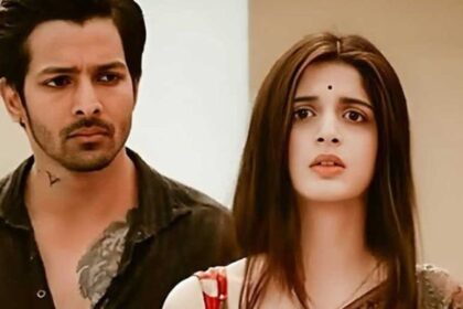 Sanam Teri Kasam Re-release Box Office Collection Day 14