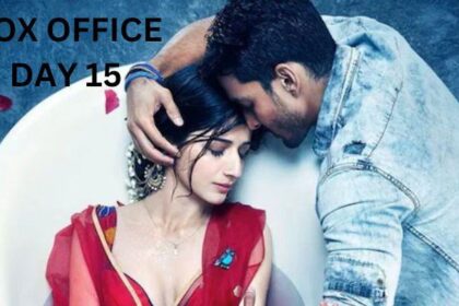 Sanam Teri Kasam Re-release Box Office Collection Day 15