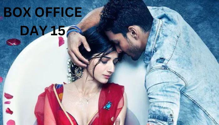 Sanam Teri Kasam Re-release Box Office Collection Day 15