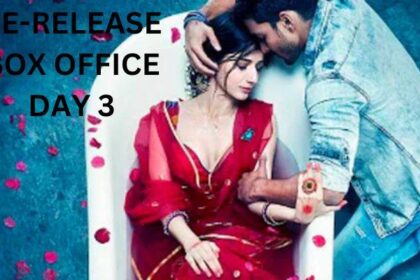 Sanam Teri Kasam Re-release Box Office Collection Day 3