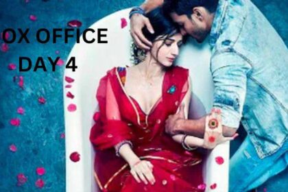 Sanam Teri Kasam Re-release Box Office Collection Day 4