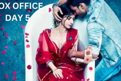 Sanam Teri Kasam Re-release Box Office Collection Day 5