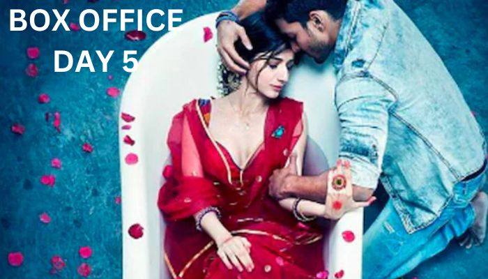 Sanam Teri Kasam Re-release Box Office Collection Day 5