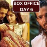 Sanam Teri Kasam Re-release Box Office Collection Day 6