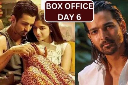 Sanam Teri Kasam Re-release Box Office Collection Day 6