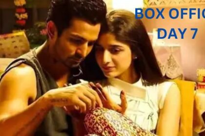 Sanam Teri Kasam Re-release Box Office Collection Day 7