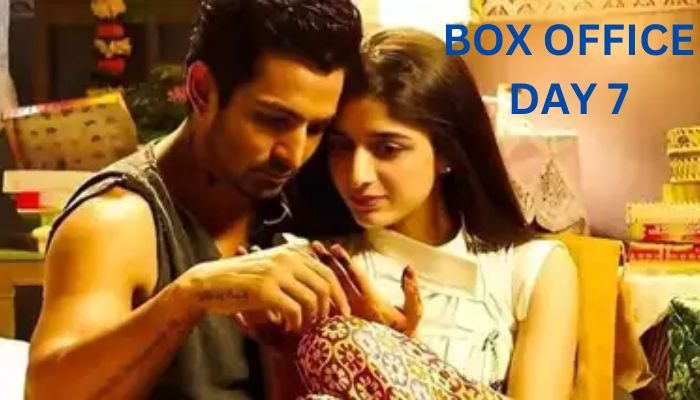 Sanam Teri Kasam Re-release Box Office Collection Day 7