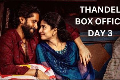 Thandel Box Office Collection Day 3