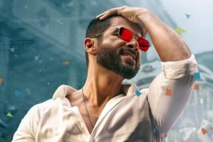 What has hurt Shahid Kapoor's Deva the most